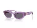 Swarovski Sonnenbrille SK 6036U 10751A