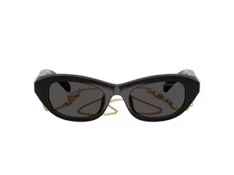 Swarovski Sonnenbrille SK 6036U 107687