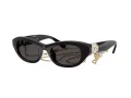 Swarovski Sonnenbrille SK 6036U 107687