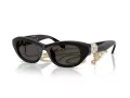 Swarovski Sonnenbrille SK 6036U 107687