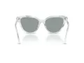 Swarovski Sonnenbrille SK 6039 1042/1