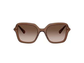 Swarovski Sonnenbrille SK 6040 106713