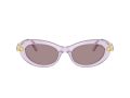 Swarovski Sonnenbrille SK 6042 1079LA