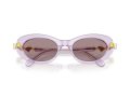 Swarovski Sonnenbrille SK 6042 1079LA