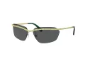 Swarovski Sonnenbrille SK 7001 400487