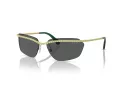 Swarovski Sonnenbrille SK 7001 400487