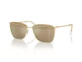 Swarovski Sonnenbrille SK 7006 4003U5