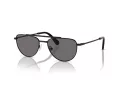 Swarovski Sonnenbrille SK 7007 401081
