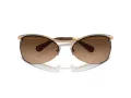 Swarovski Sonnenbrille SK 7018 400474