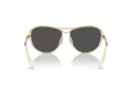 Swarovski Sonnenbrille SK 7028 400487