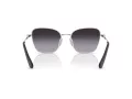 Swarovski Sonnenbrille SK 7029 40018G