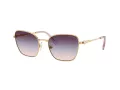 Swarovski Sonnenbrille SK 7029 4036U7