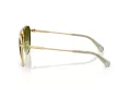 Swarovski Sonnenbrille SK 7031 4017E8
