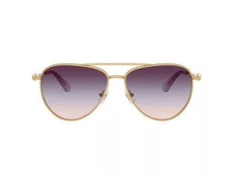 Swarovski Sonnenbrille SK 7031 4036U7