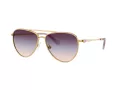 Swarovski Sonnenbrille SK 7031 4036U7