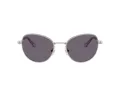 Swarovski Sonnenbrille SK 7032 40011A