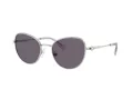 Swarovski Sonnenbrille SK 7032 40011A