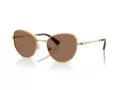 Swarovski Sonnenbrille SK 7032 400473