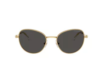 Swarovski Sonnenbrille SK 7032 400487