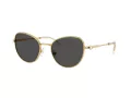 Swarovski Sonnenbrille SK 7032 400487
