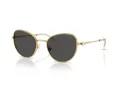 Swarovski Sonnenbrille SK 7032 400487