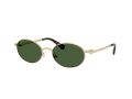 Swarovski Sonnenbrille SK 7033 400471