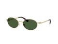Swarovski Sonnenbrille SK 7033 400471