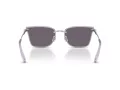 Swarovski Sonnenbrille SK 7036D 40011A