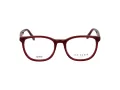 Ted Baker Brillen TBB 988 253