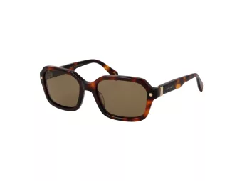 Ted Baker Sonnenbrille TB 1697 101