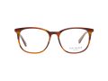 Ted Baker Brillen TB 8219 351