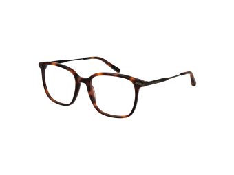 Ted Baker Brillen TB 8295 407