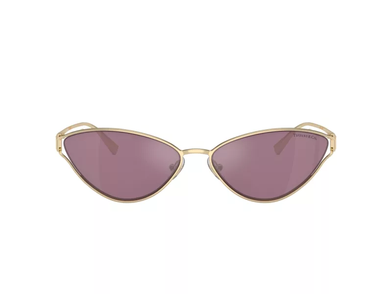 Tiffany Sonnenbrille TF 3095 6194AK