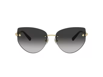 Tiffany Sonnenbrille TF 3096 60213C