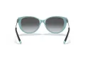 Tiffany Sonnenbrille TF 4178 8055T3