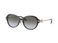 Tiffany Sonnenbrille TF 4188D 80013C