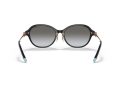 Tiffany Sonnenbrille TF 4188D 80013C