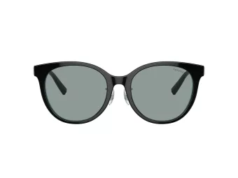 Tiffany Sonnenbrille TF 4209D 8055/1