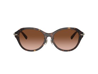 Tiffany Sonnenbrille TF 4210D 80153B