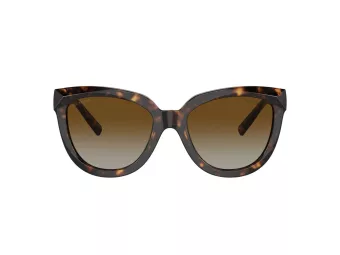 Tiffany Sonnenbrille TF 4215 8015T5