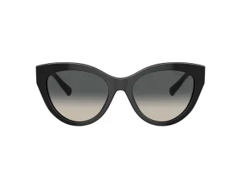 Tiffany Sonnenbrille TF 4220 800171