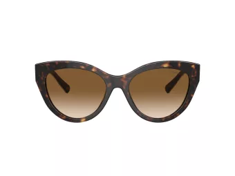 Tiffany Sonnenbrille TF 4220 801551