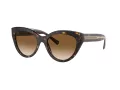 Tiffany Sonnenbrille TF 4220 801551