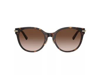 Tiffany Sonnenbrille TF 4223D 80153B