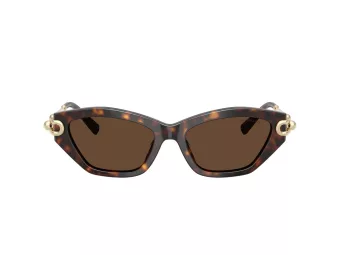 Tiffany Sonnenbrille TF 4231U 80153G