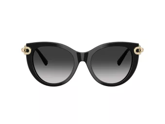 Tiffany Sonnenbrille TF 4232 80013C