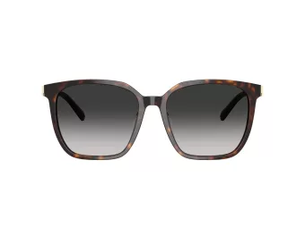 Tiffany Sonnenbrille TF 4244D 80153C
