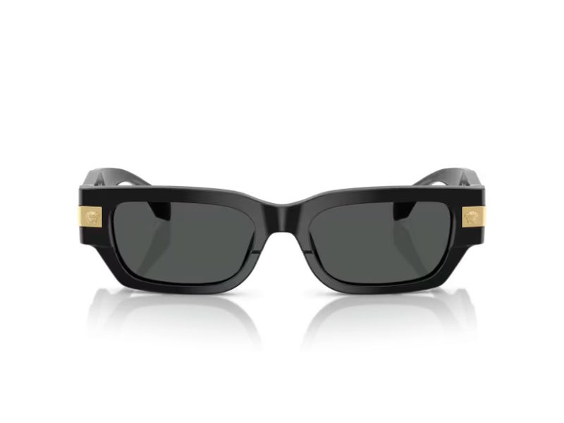 Versace Sonnenbrille VE 4465 GB1/87