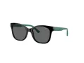 Vogue Sonnenbrille VJ 2023 W44/87