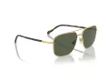 Vogue Sonnenbrille VO 4289S 280/9A